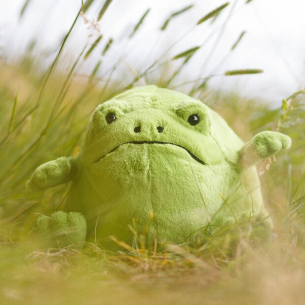 Ricky Rain Frog - Gently Elephant