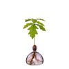 Acorn Vase - Spring Lilac