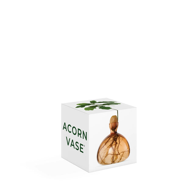 Acorn Vase - Sweet Apricot