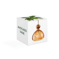Avocado Vase - Sweet Apricot