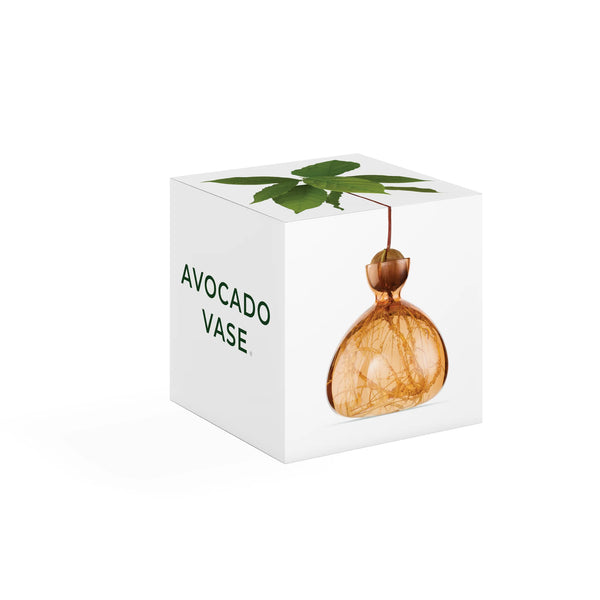 Ilex Studio - Avocado Vase - Sweet Apricot