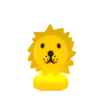 Bundle of Light - Lion