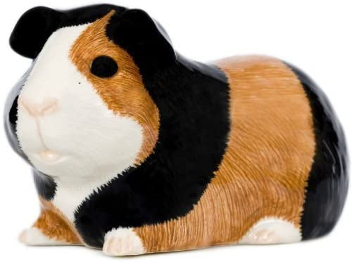 Guinea Pig Money Box