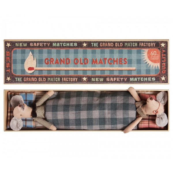 Grandpa And Grandma Mice In Box