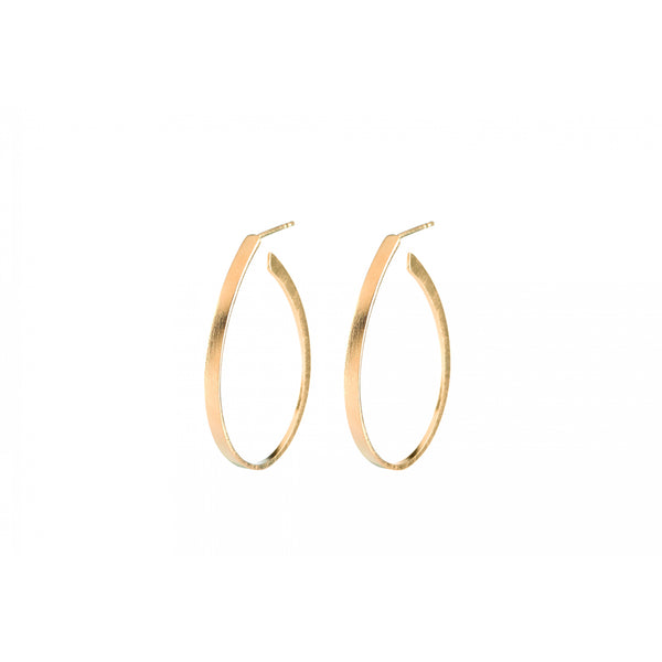 Oval Creoles - Gold Plated