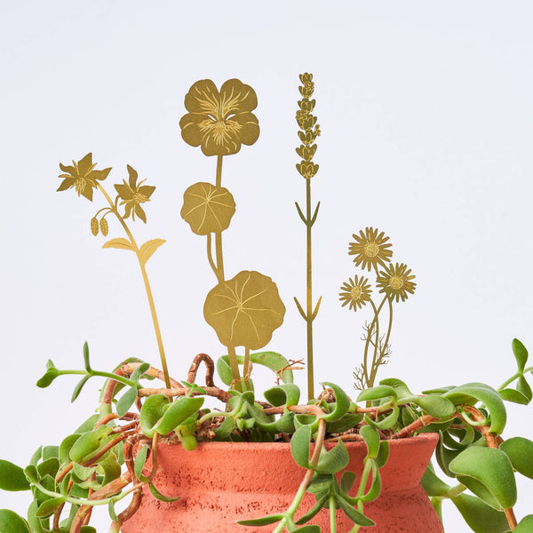 Another Studio - Plant Pot Decorations - Brass Blooms Herbs