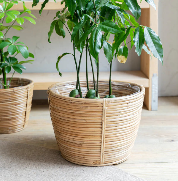 Garden Trading - Mayfield Plant Pot 28cm Rattan