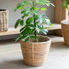 Garden Trading - Mayfield Plant Pot 20cm Rattan