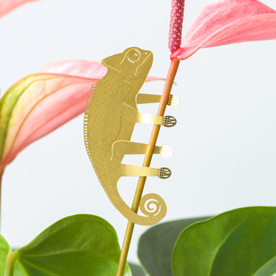 Plant Animal Houseplant Decoration - Chameleon