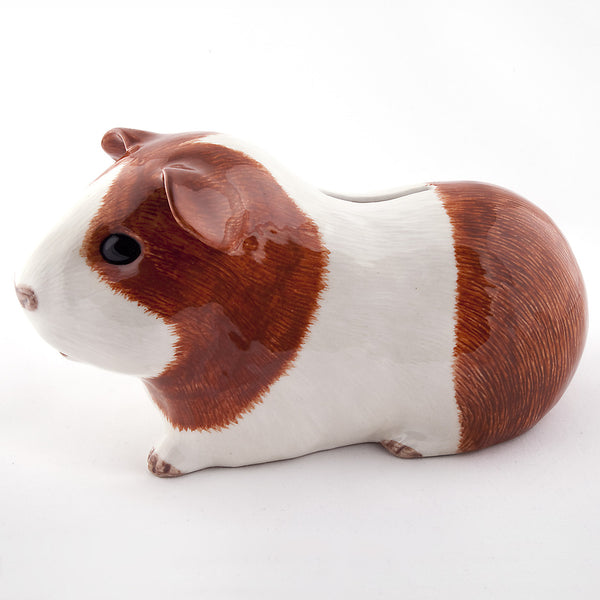 Guinea Pig Money Box Dutch