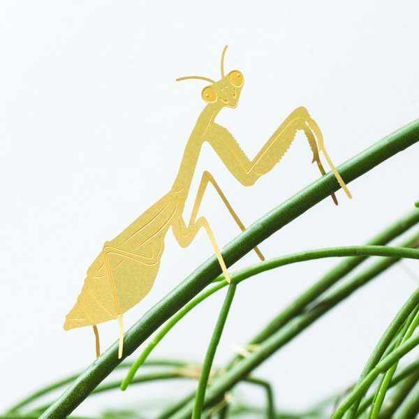 Plant Animal Houseplant Decoration - Praying Mantis