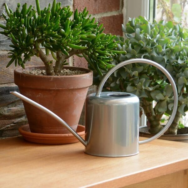 Garden Trading - 1.9L Watering Can