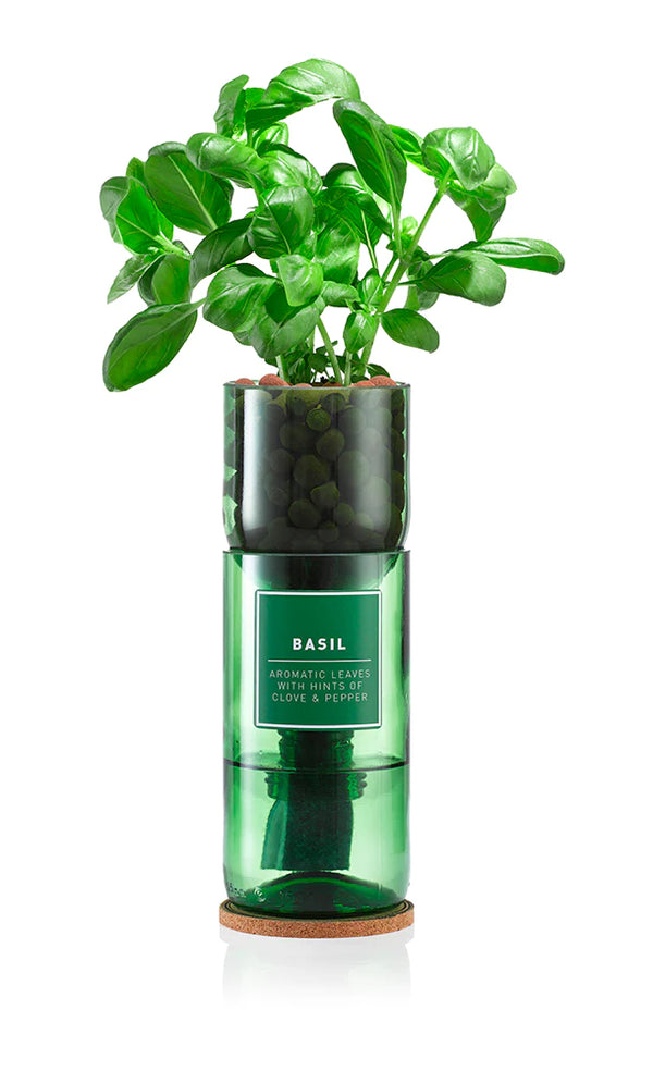 Basil Kit
