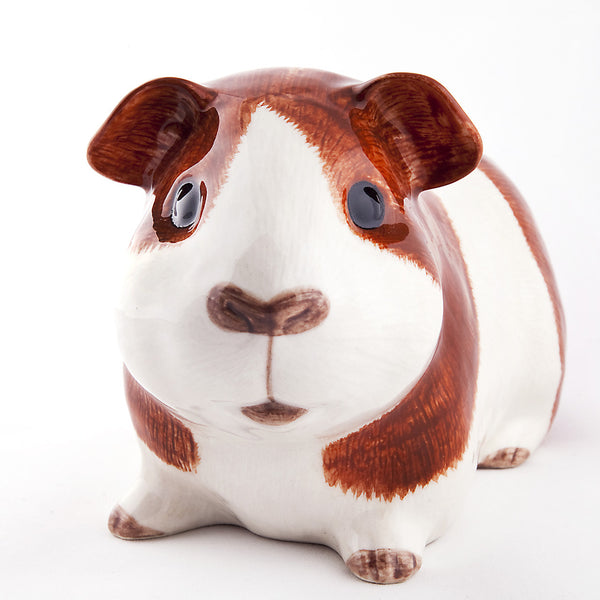 Guinea Pig Money Box Dutch