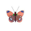 Studio Roof - Delias Butterfly - Small
