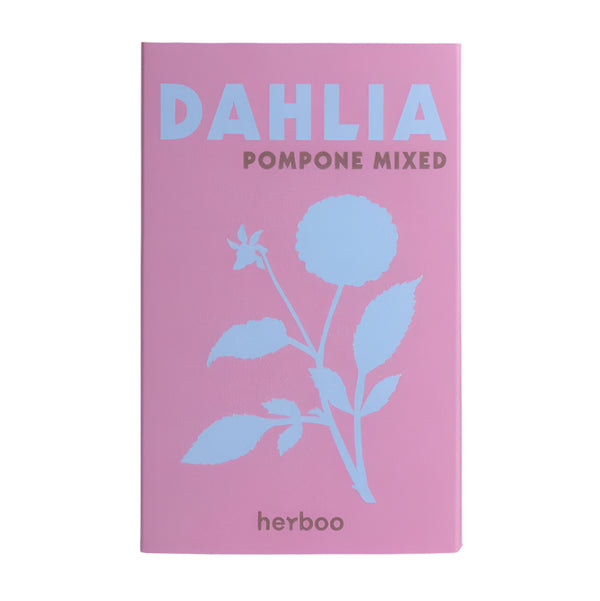 Dahlia ‘Pompone Mixed’ Seeds