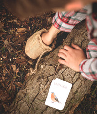 The Den Kit Company - The Make a Pizza For the Birds Kit