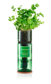 Hydro-Herb - Coriander Kit