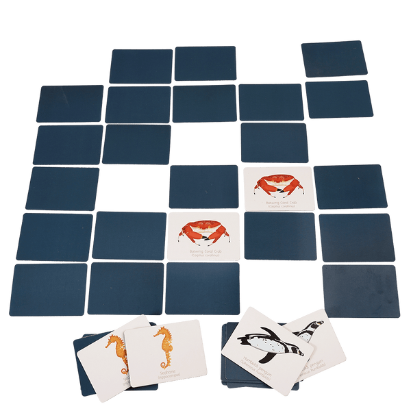 Rex - Ocean Memory Game - 40 pieces