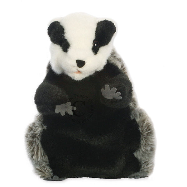 European Wildlife - Badger