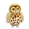 Owl - Full-Bodied