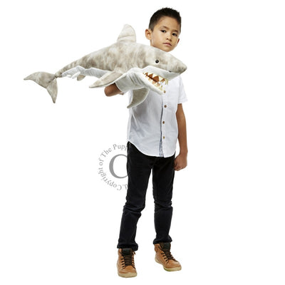 Large Creatures - Shark