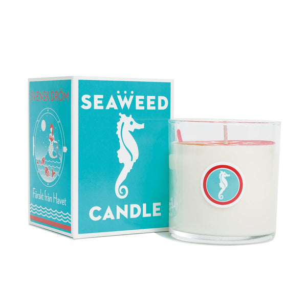 Seaweed Candle - Swedish Dream