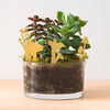 Another Studio - Mini Mushrooms Brass - Plant Pot & Terrarium Decoration