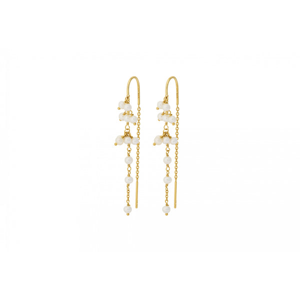 Ocean Treasure Earchains - Gold Plated
