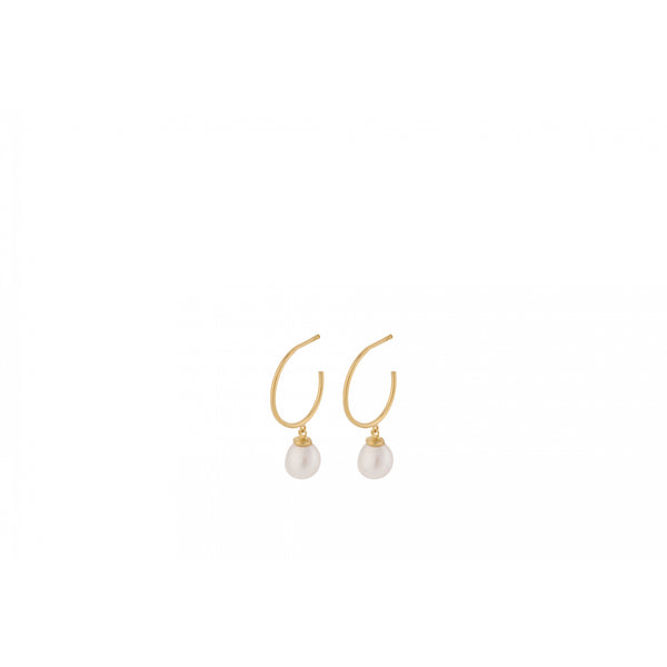 Ocean Dream Hoops - Gold Plated