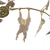 Another Studio - Plant Animal Orangutan - Botanical Decoration