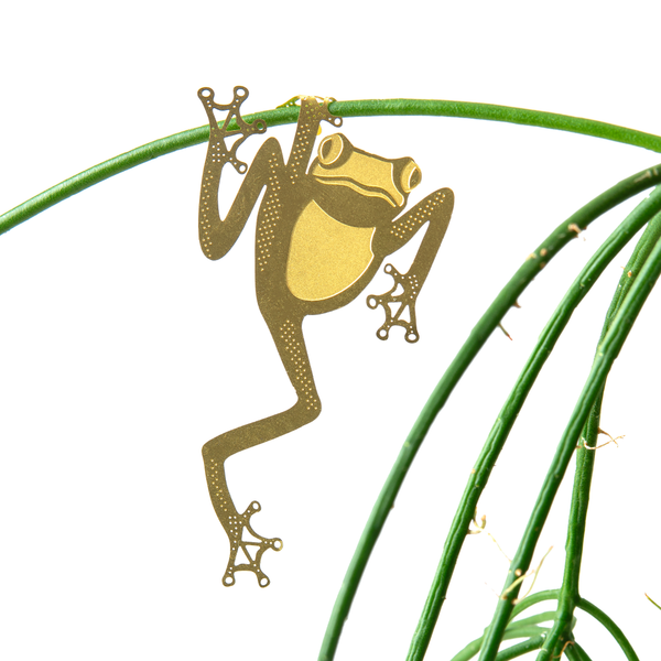 Plant Animal Houseplant Decoration - Tree Frog