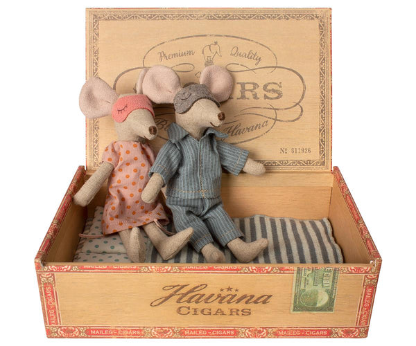 Mum And Dad Mice in Cigar Box