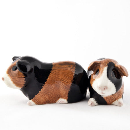 Guinea Pig Salt and Pepper