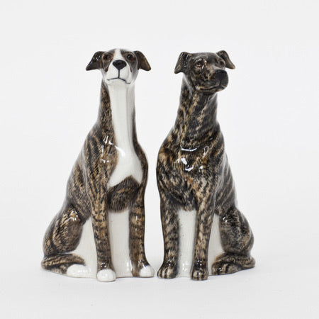 Greyhound Salt and Pepper