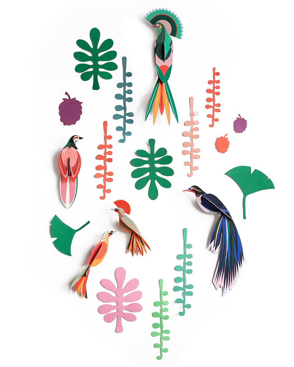 Studio Roof - Wall of Curiosities - Bird Observer
