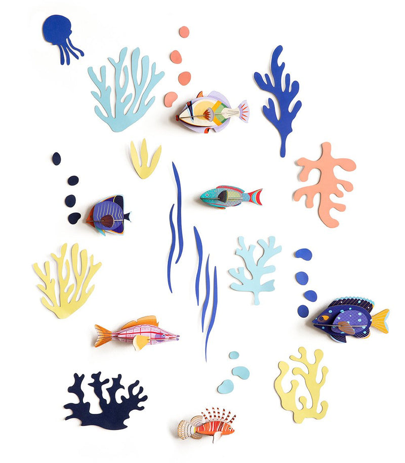 Studio Roof - Wall of Curiosities - Fish Hobbyist